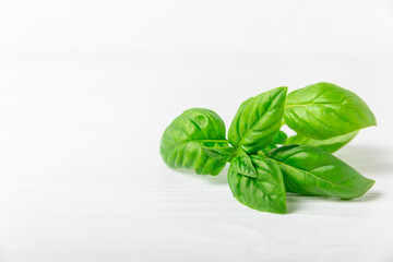 Green basil leaves on a textured wooden background. Kitchen herbs, spices. Fresh green organic basil. Vegan. Greens for salad. Place for text. Copy space.