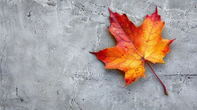 Autumn leaf on concrete - Powered by Adobe