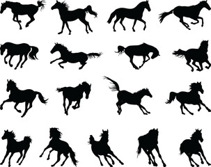 Black silhouettes of horses at a gallop