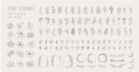Set of different flowers, brunch and frames from flat editable stroke. Luxury line floral collection for wedding invitation art, design template. Botanical vector