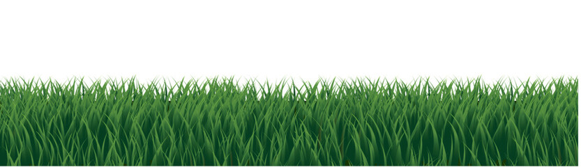 Obraz premium eGreenGrassPanoramaAndWhiteBackground_8_240719.eps