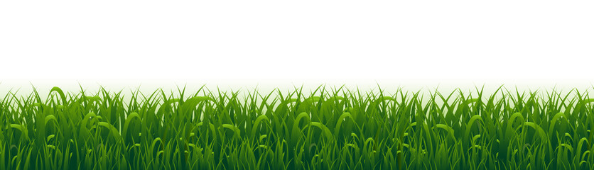 Grass Frame And White Background