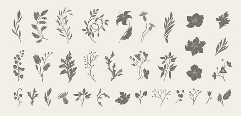 Set of retro silhouette flowers and botanical elements. Art nouveau hand drawn leaves branches and blooming. Elegant elements for invitation save the date card. Vector illustration