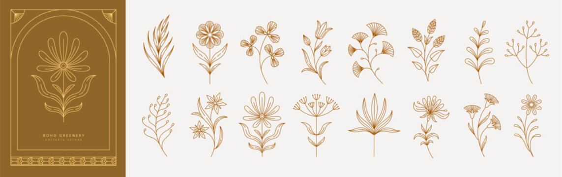 Set of boho simple geometric branch and flowers. Botanic design elements in wavy and vintage style. Leaves and branches print for logo, social media or packaging and greeting card. Vector illustration