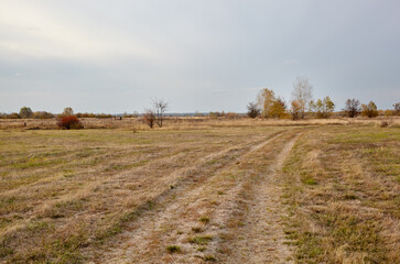 Beautiful landscape of field against the sky. Meadows and road to forest