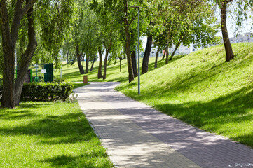 Pathway surrounded by trees and ornamental shrubs in Kyiv, Europe. Recreation place in the city park