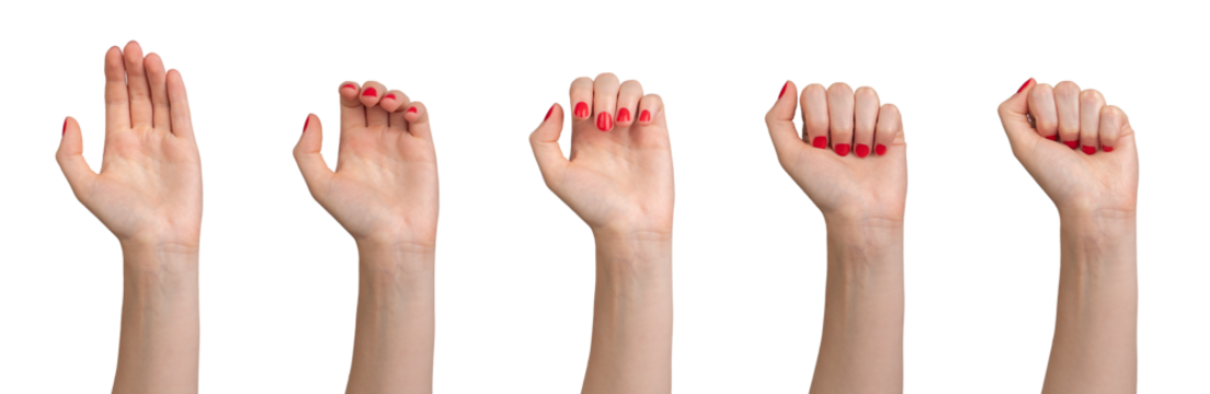 Hand clenching, closing process from open palm to closed fist, process set, gesture, sign isolated on white background.., transparent PNG