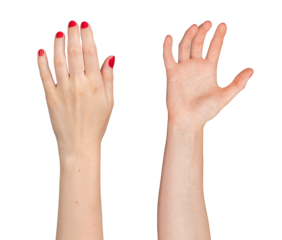 Hands taking, holding, grabbing gesture from back and front side, isolated on white background.., transparent PNG