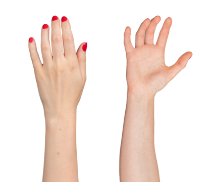 Hands taking, holding, grabbing gesture from back and front side, isolated on white background.., transparent PNG