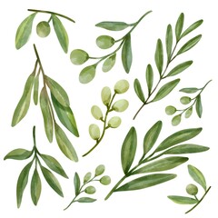 green leaves clipart