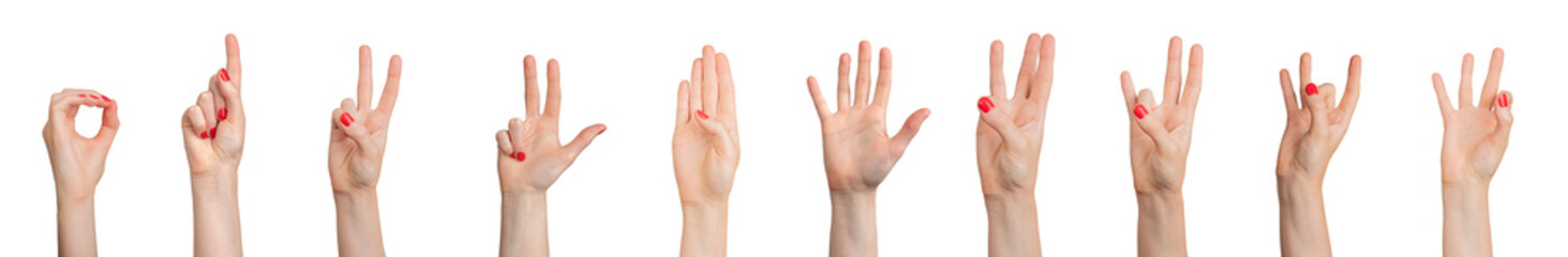 Sign language for counting numbers from zero, one to five, ten, set isolated on white background.., transparent PNG © valiantsin