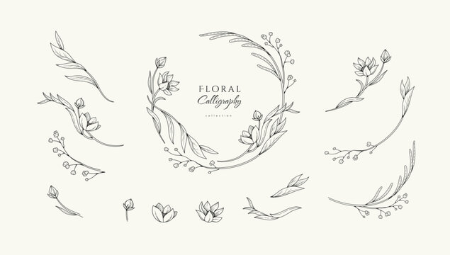 Set of elegant calligraphic botanical design elements, floral frame and graceful branches. Wedding wildflowers for invitation save the date card. Botanical feminine rustic vector illustration