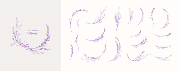 Set of lavender calligraphic design elements, floral frame and graceful branches. Wedding wildflowers for invitation save the date card. Botanical feminine rustic vector illustration. © merfin