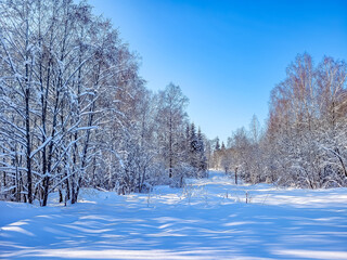 Campo cubierto de nieve con árboles al fondo bajo un cielo azul claro en invierno.
