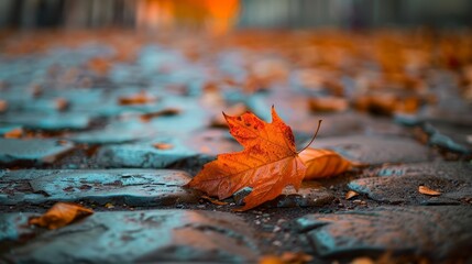 Fallen leaf on stone path