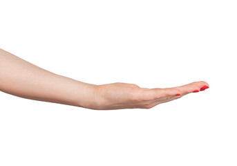 Outstretched hand with an empty palm, symbolizing charity and support. Elegant gesture, isolated on white background, with red manicure and beautiful, delicate design. of a hand., transparent PNG