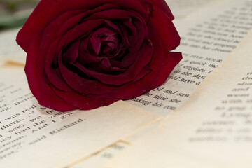 book and rose