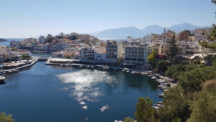 view of the city from the top of the hill