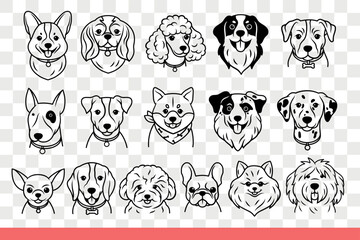 Faces of dogs of different breeds look at screen with positive emotions, rejoicing at meeting owner. Dogs pets with and without collars for interior design of shelter or pet store. Hand drawn doodle