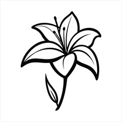 Lily in black edging pencil in a naive format vector