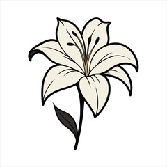 Lily in black edging pencil in a naive format vector