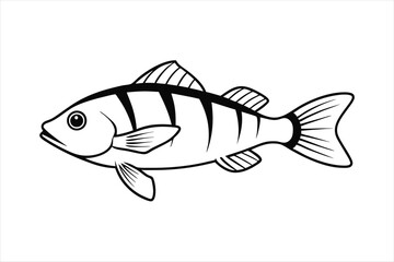 Perch fish line art Vector