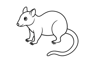 Possum Coloring Page vector line art