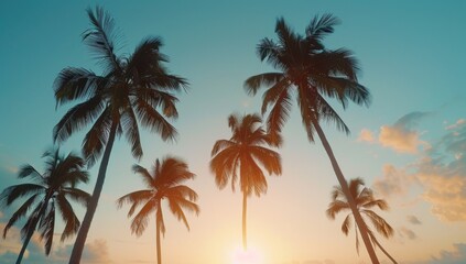Obraz premium Palm Trees at Sunset on Tropical Beach