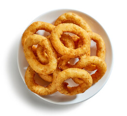 fried onion rings