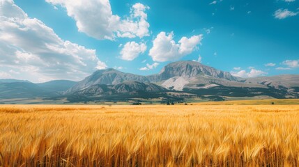 Fototapeta premium Golden Wheat Field and Majestic Mountain Range