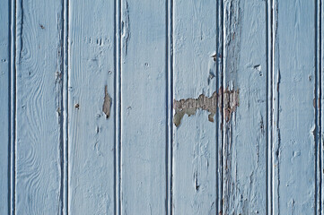Grunge pale blue wooden door planks with peeld off paint. Background image
