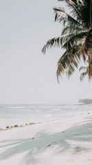 Coconut tree close-up on a tropical beach with coconuts and textured trunk. Soft-focus sandy beach and blue ocean waves in the background..