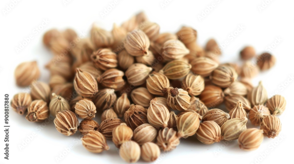 Poster This image features a close-up view of whole coriander seeds spread out on a white background, highlighting their texture and color. The seeds appear numerous and are clearly detailed.
