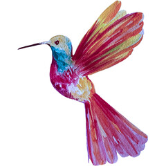Watercolor painted tropical bright birds. © gala