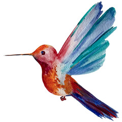 Watercolor painted tropical bright birds. © gala