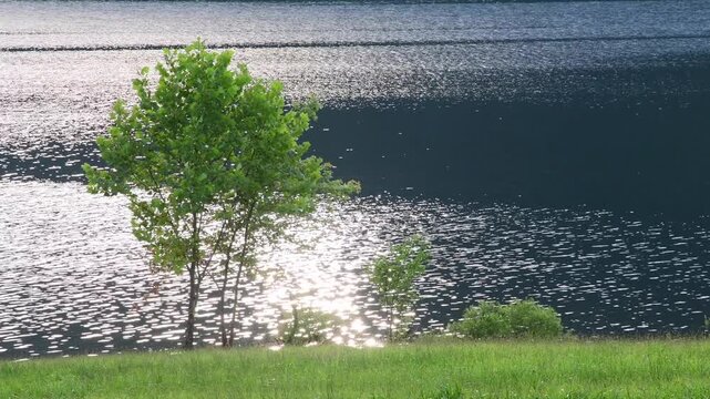 Cinematic sunlight reflection over lake surface waves tranquill, bokeh backgrounds