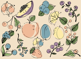 Multicolored sketch of fruits, berries and flowers