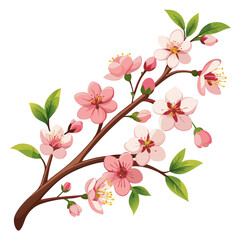 cherry blossom