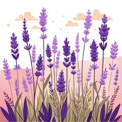 lavender flowers in the wind