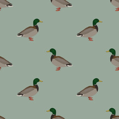 Seamless animal pattern with male mallards. Winter design with wild ducks. Anas platyrhynchos. 