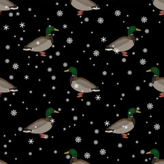 Seamless seasonal animal pattern with male mallards and snowflakes. Winter design with wild ducks. Anas platyrhynchos. On black background.