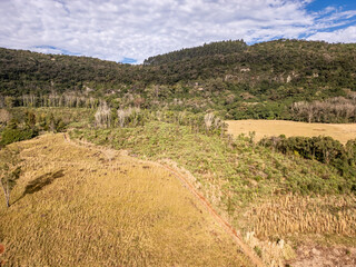 Aerial view of farm fileds and forest in a valley