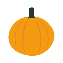 Pumpkin - squash for Halloween or Thanksgiving.