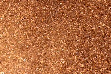 Natural brown soil ground background with some plant elements.