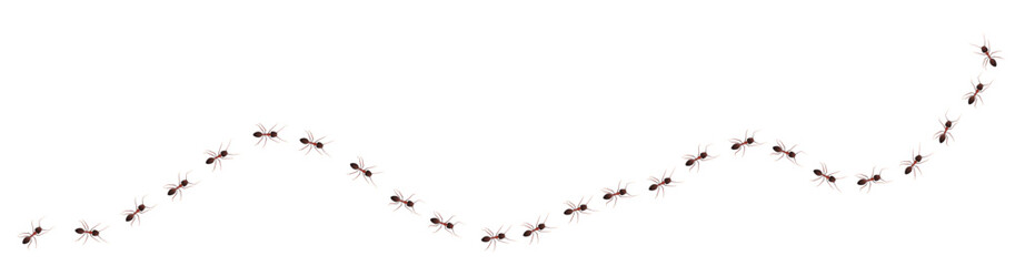 Marching ant colony, insect trail. Vector illustration