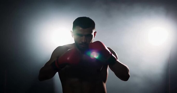Boxer Shadow Boxing