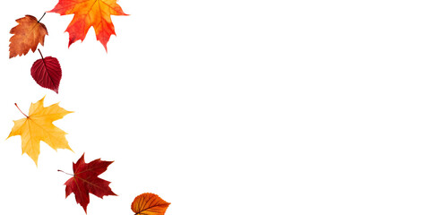 A collection of vibrant, scattered autumn leaves falling against a transparent background.