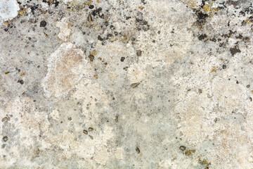 Weathered Concrete with Subtle Liche