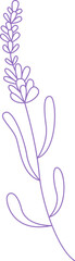 Lavender Branch Doodle