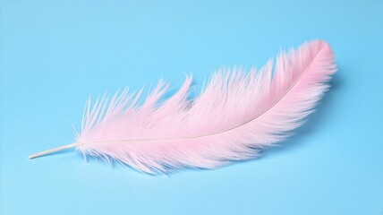 Obraz premium Soft Pink Feather on Blue Background - Minimalist Nature Stock Photo for Blog and Social Media Use